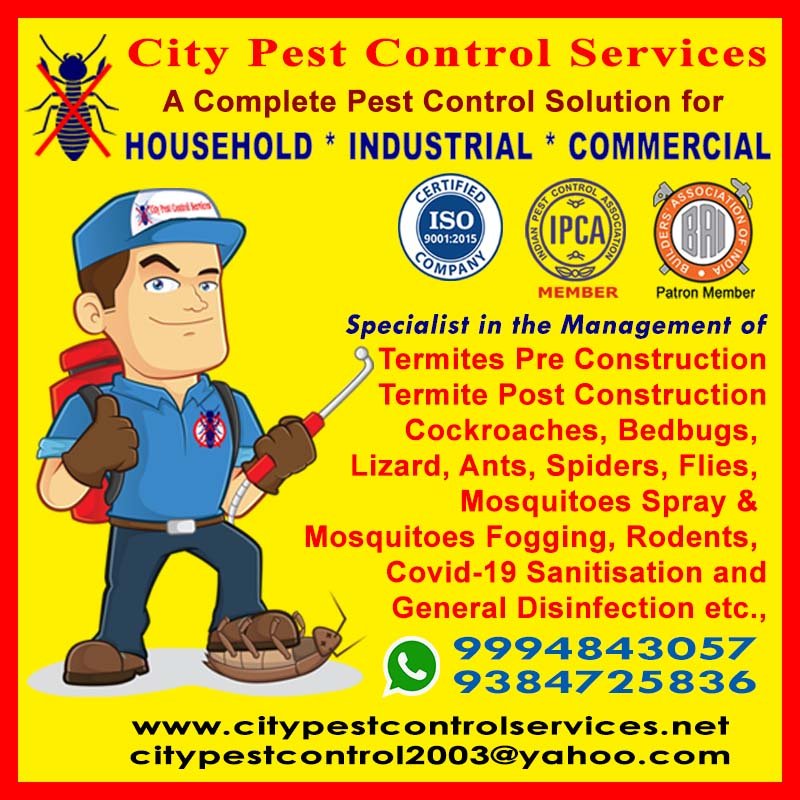 Pest Free Home! Happy Home!!