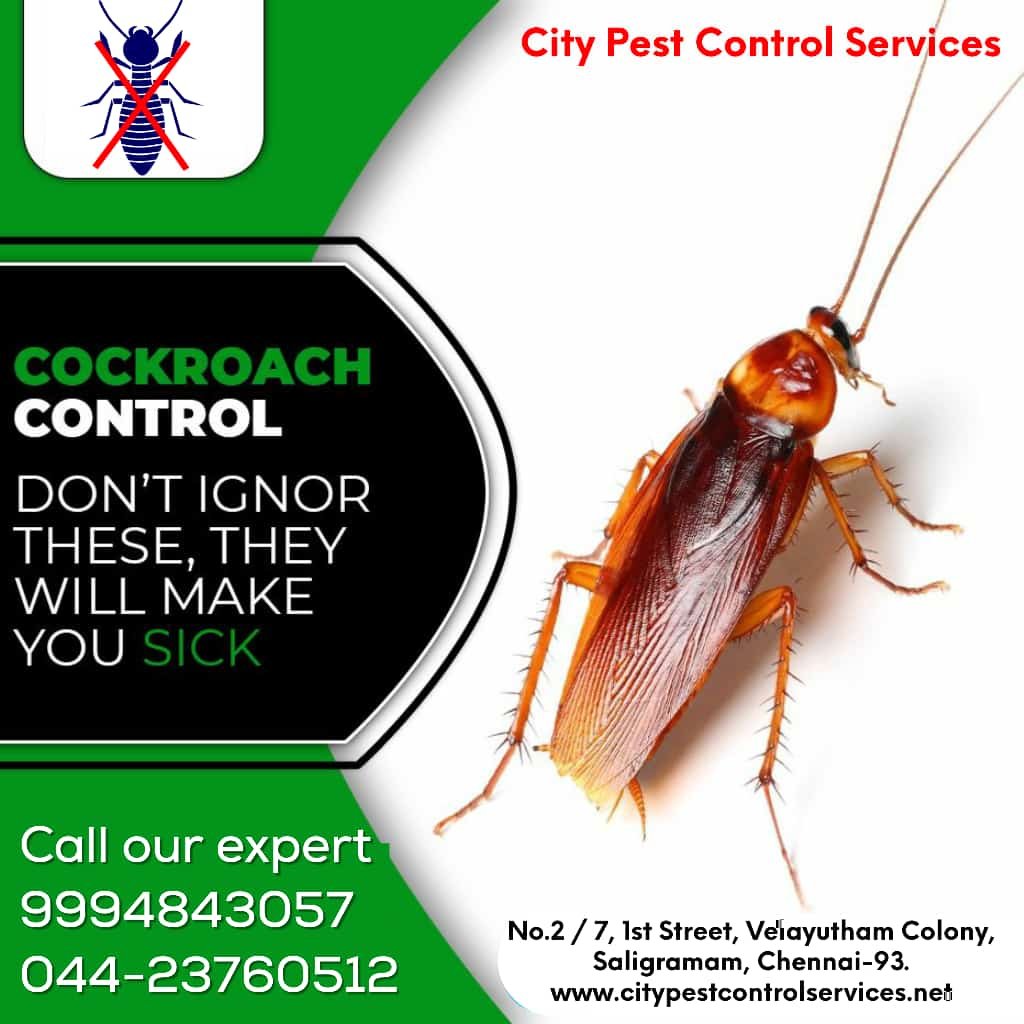 Pest Free Home! Happy Home!!