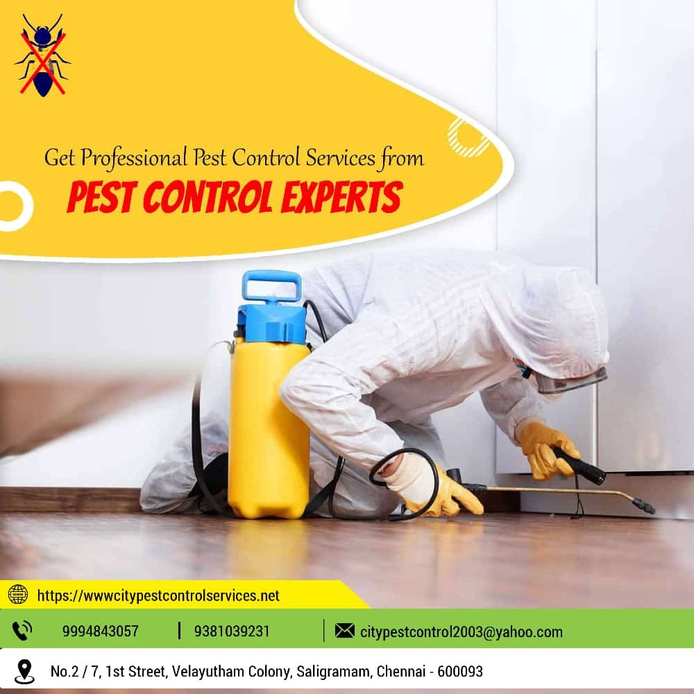 Pest Free Home! Happy Home!!