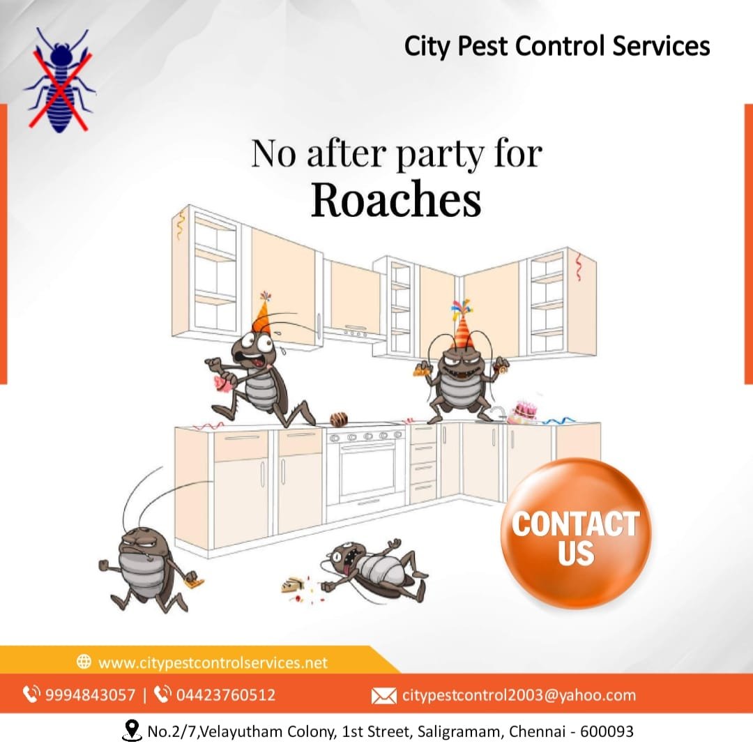 Pest Free Home! Happy Home!!