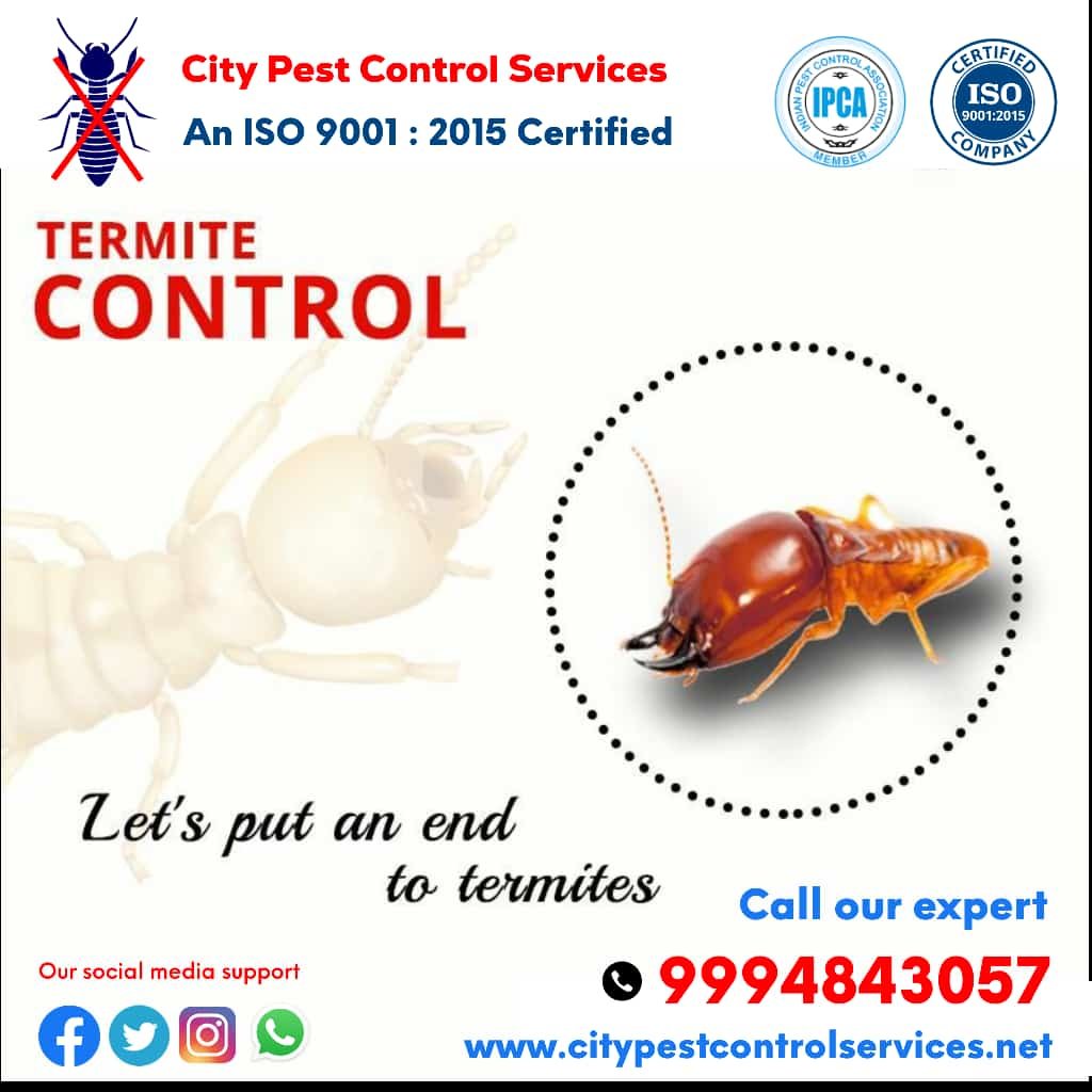 Pest Free Home! Happy Home!!